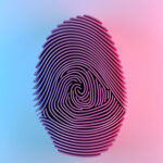 What Is Digital Identity Management and Why It Matters