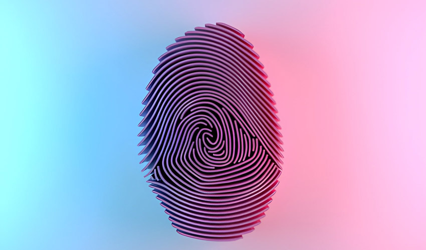 What Is Digital Identity Management and Why It Matters
