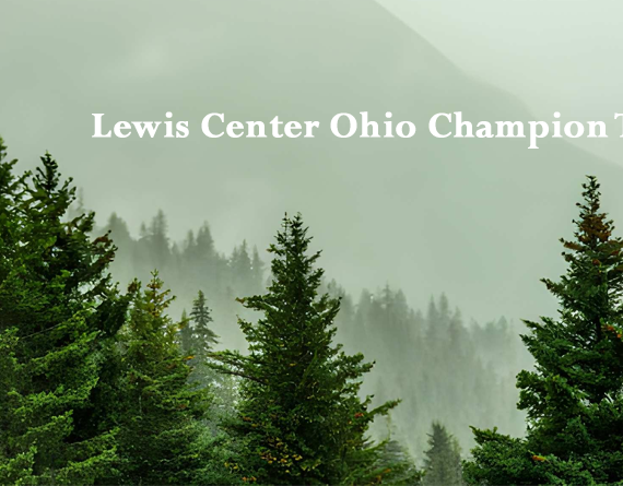 lewis center ohio champion trees